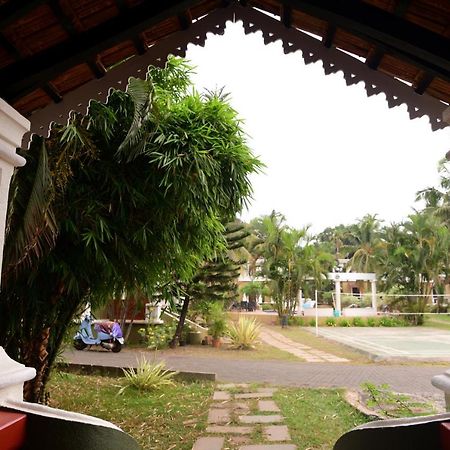 White Square Nirvana, Parra Mapusa Exteriör bild